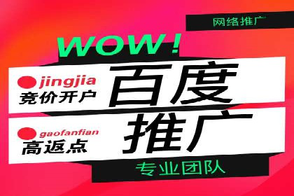 百度运营推广实战技巧，看这些成功案例